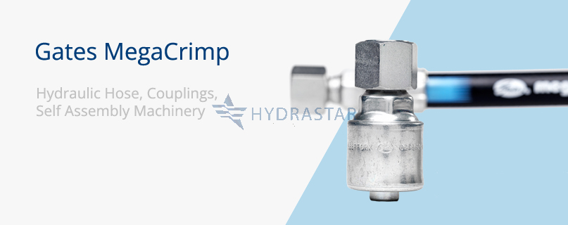 Large Advert 2 Large Advert 2